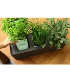 GREENBAR® Ersatzvlies, 3er-Pack -Gartenbedarf Geschäft 20150713 338 greenbar steps 4 studio herzig