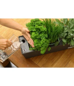 GREENBAR® Ersatzvlies, 3er-Pack -Gartenbedarf Geschäft 20150713 347 greenbar steps 5 studio herzig