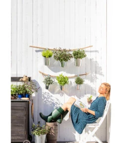 Dehner Gourmet Garten Zitronenmelisse -Gartenbedarf Geschäft 20181011 PR MO 003 Kraeuter 01