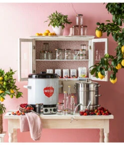 Dampfentsafter, 8 L 7 Dampfentsafter, 8 L -Gartenbedarf Geschäft 209304 WE MO 007 EinkochglasObst6Eck