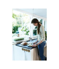 Gartenbedarf Geschäft -Gartenbedarf Geschäft 3009388 WE MO 001 AnzuchtschaleLschwarzElho