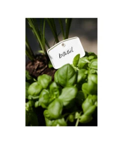 Elho Pflanz-Stift, 5 Stück 7 Elho Pflanz-Stift, 5 Stück -Gartenbedarf Geschäft 3266806 MO FS 001 PflanzstiftMweissElhoEtikett