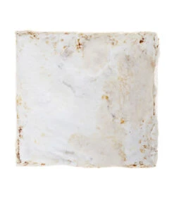 Pilzmännchen Bio Pilzzuchtset Austernpilz 7 Pilzmännchen Bio Pilzzuchtset Austernpilz -Gartenbedarf Geschäft 3940285 BildD 002 PilzmaennchenBioHomePilzzuchtsetAusternpilzPilzbrutAusternpilzSet