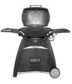 Weber Gasgrill Q 3000, 63 X 45 Cm 10 Weber Gasgrill Q 3000, 63 X 45 Cm -Gartenbedarf Geschäft 4073334 WE FS 003 WeberQ3000Black