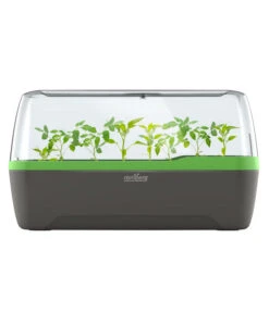 Romberg BoQube Gewächshaus 15 Romberg BoQube Gewächshaus -Gartenbedarf Geschäft 4299970 WE FS 005 RombergGewaechshausZimmergewaechshausAnzucht