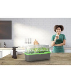 Romberg BoQube Gewächshaus 17 Romberg BoQube Gewächshaus -Gartenbedarf Geschäft 4299970 WE MO 001 RombergGewaechshausZimmergewaechshausAnzucht