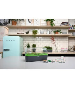 Romberg BoQube Gewächshaus 18 Romberg BoQube Gewächshaus -Gartenbedarf Geschäft 4299970 WE MO 002 BoQubeGewaechshausZimmergewaechshaus