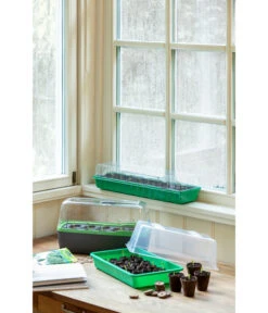 Romberg Zimmergewächshaus -Gartenbedarf Geschäft 4299970 WE MO 004 BoQubeZimmergewaechshaus