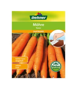 Dehner Samen-Set Easy Going -Gartenbedarf Geschäft 4322590 WE FS 004 DehnerSamenSaatgutSaemereienSetEasyGoing
