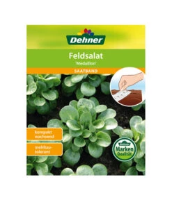 Dehner Samen-Set Easy Going -Gartenbedarf Geschäft 4322590 WE FS 005 DehnerSamenSaatgutSaemereienSetEasyGoing