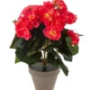 Kunstpflanze Begonie -Gartenbedarf Geschäft 4461117 WE FS 001 Begonie30cmPink