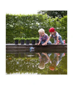 Artstone Kunststoff-Blumentopf Claire, Rund -Gartenbedarf Geschäft 5160395 WE MO 002 KunststoffTopfClaireschwarz