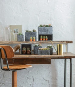 Dehner Zement-Jardiniere Slate, Rechteckig, Grau -Gartenbedarf Geschäft 5338900 WE MO 001 SerieSlateGrau 5338918 5056221 5056155 384281