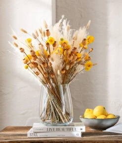 Trockenblumenbund Pampasgras, Natur -Gartenbedarf Geschäft 6272595 WE MO 001 Trockenstrauss