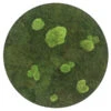 StyleGREEN Bild Aus Wald- Und Kugelmoos, Kreisförmig, Ca. Ø54 Cm -Gartenbedarf Geschäft 6429757 WE FS 001 Wald KugelmoosbildD54cm