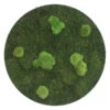 StyleGREEN Bild Aus Wald- Und Kugelmoos, Kreisförmig, Ca. Ø80 Cm -Gartenbedarf Geschäft 6429781 WE FS 001 Wald KugelmoosbildD80cm