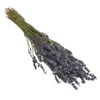 Trockenblumenbund Lavendel -Gartenbedarf Geschäft 6491682 PR FS 001 LavendeltiefblauBund DehnerExpressHerzig