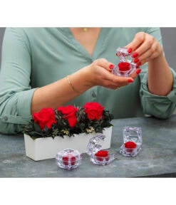 Dehner Keramik-Jardiniere Mit Longlife-Rose Elen, Rot, Ca. B23/H11/T7 Cm -Gartenbedarf Geschäft 6537724 WE MO 001 LonglifeArrangementElenRot ImageBild Content