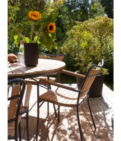 Cinas Stapelstuhl Ellen 11 Cinas Stapelstuhl Ellen -Gartenbedarf Geschäft 6843569 WE MO 002 EllenArmlehnstuhl