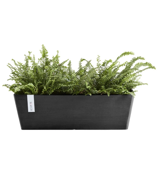 Ecopots Kunststoff-Kasten Bruges Mit Wassersystem, Rechteckig, Ca. B55/H17/T17 Cm 4 Ecopots Kunststoff-Kasten Bruges Mit Wassersystem, Rechteckig, Ca. B55/H17/T17 Cm – Bild 2