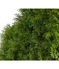 12 Meter Lebensbaum 'Smaragd', 30 X Ca. 100-125 Cm -Gartenbedarf Geschäft 7513534 WE DE 001 ThujaLebensbaumOccidentalisSmaragd20LDehnerExpressHerzig 1