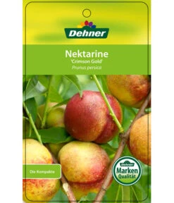 Nektarine 'Crimson Gold' -Gartenbedarf Geschäft 7626005 NektarineCrimsonGold Etikett 1
