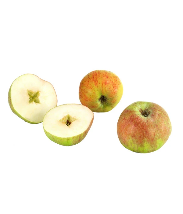 Herbstapfel 'Gravensteiner' 3 Herbstapfel 'Gravensteiner'