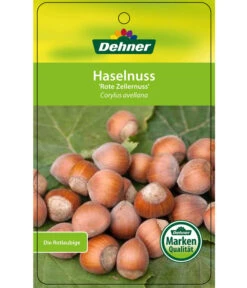 Dehner Haselnuss 'Rote Zellernuss' 14 Dehner Haselnuss 'Rote Zellernuss' -Gartenbedarf Geschäft 7663073 HaselnussRoteZellernuss Etikett 1