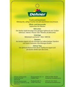 Herbstapfel 'Rebella' -Gartenbedarf Geschäft 7737075 HerbstapfelRebella Etikett 2