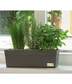 GREENBAR® Ersatzvlies, 3er-Pack -Gartenbedarf Geschäft 7750482 PR MO 001 GreenbarAnleitungIndoorSeidl