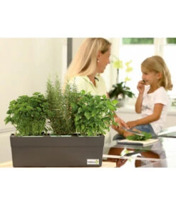 GREENBAR® Ersatzvlies, 3er-Pack -Gartenbedarf Geschäft 7750482 PR MO 003 GreenbarAnleitungIndoorSeidl