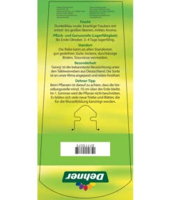 Tafeltraube 'Georg' -Gartenbedarf Geschäft 7773575 TafeltraubeGeorg Etikett 2