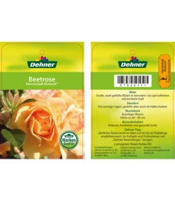 Beetrose 'Hansestadt Rostock®' -Gartenbedarf Geschäft 7866551 HansestadtRostockBeetrose Etikett1