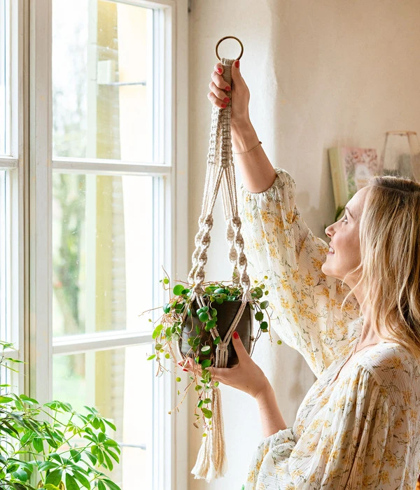 Peperomie - Peperomia 'Pepperspot' 5 Peperomie - Peperomia 'Pepperspot' – Bild 3