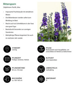 Rittersporn, Verschiedene Farben -Gartenbedarf Geschäft 8352692 WE IG 001 RitterspornBlau