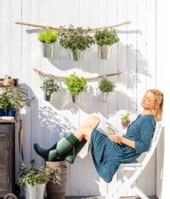 Dehner Gourmet Garten Oregano -Gartenbedarf Geschäft 8610123 WE MO 001 Oregano Kraeuter