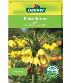 Kaiserkrone -Gartenbedarf Geschäft 8664674 KaiserkroneLutea Etikett 01