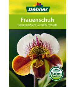 Frauenschuh - Paphiopedilum Hybride, Verschiedene Sorten 24 Frauenschuh - Paphiopedilum Hybride, Verschiedene Sorten -Gartenbedarf Geschäft 8756744 Paphiopedilum Frauenschuh Etikett1