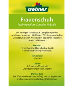 Frauenschuh - Paphiopedilum Hybride, Verschiedene Sorten 25 Frauenschuh - Paphiopedilum Hybride, Verschiedene Sorten -Gartenbedarf Geschäft 8756744 Paphiopedilum Frauenschuh Etikett2