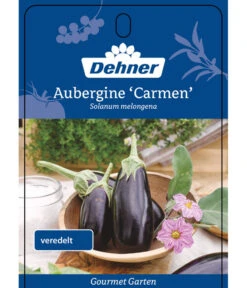 Dehner Gourmet Garten Aubergine, Veredelt -Gartenbedarf Geschäft 8830051 GGAubergineCarmen Etikett 1