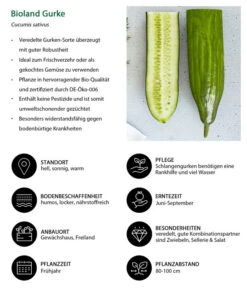 Bioland Gurke, Veredelt -Gartenbedarf Geschäft 8830853 WE IG 001 BiolandGurke