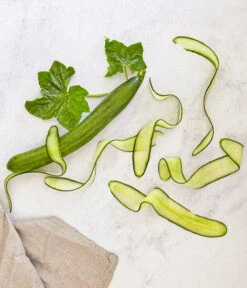 Bioland Gurke, Veredelt -Gartenbedarf Geschäft 8830853 WE MO 001 SchlangengurkeveredeltRenner