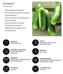 Snackgurke -Gartenbedarf Geschäft 8830960 WE IG 001 Snackgurke