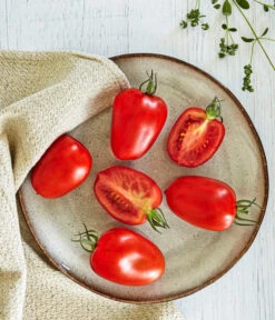 Bioland Eiertomate 7 Bioland Eiertomate -Gartenbedarf Geschäft 8831463 WE MO 001 BiolandEiertomate