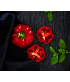 Dehner Gourmet Garten Tomatenpaprika -Gartenbedarf Geschäft 8831562 WE MO 001 TomatenpaprikaRenner
