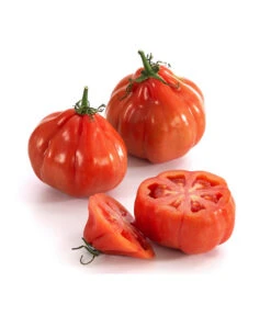 Ochsenherztomate 'Fleurette' 9 Ochsenherztomate 'Fleurette' -Gartenbedarf Geschäft 8832883 WE DE 001 Ochsenherztomate