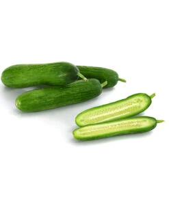 Snackgurke -Gartenbedarf Geschäft 8833063 8830960 WE DE 001 GourmetGartenSnackgurkeVeredelt