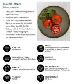 Bioland Tomate, Rundfruchtig -Gartenbedarf Geschäft 8842619 WE IG 001 BiolandTomate