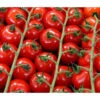 Bioland Cherrytomate -Gartenbedarf Geschäft 8842635 WE DE 001 Bio Cherrytomate