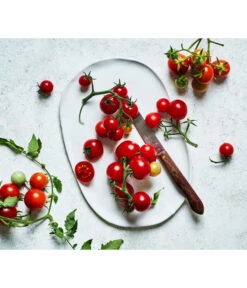 Bioland Cherrytomate -Gartenbedarf Geschäft 8842635 WE MO 002 Bio Cherrytomate